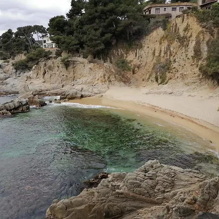 L'estartit, Estudio En Primera Linea De Mar.