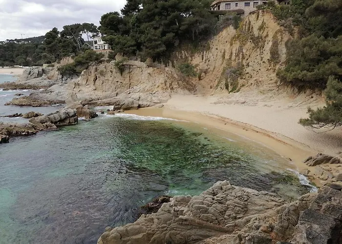L'estartit, Estudio En Primera Linea De Mar.